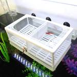 Senzeal Fisch Zuchttank