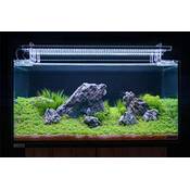 Sera AquaTank 32543 Vergleich