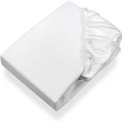 Setex 1308090200404002