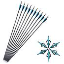 Sharrow Carbon Pfeile