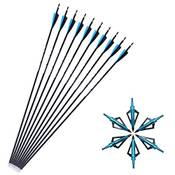 Sharrow Carbon Pfeile