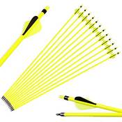 Sharrow Jagdpfeile Vergleich