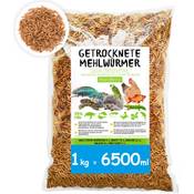 SHF-Natur Mehlwürmer