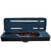 Shioucy Geigenkoffer