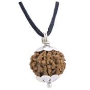 Shivaloka 7 Mukhi Rudraksha Vergleich