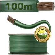 Shs 100m1