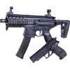 Sig Sauer SIG1 MPX + P226 satz