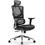 Sihoo Bürostuhl Ergonomisch