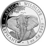 Silbermünze Somalia Elefant