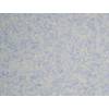 Silk Plaster O-057