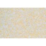 Silk Plaster O-052