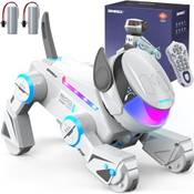 Simrex AN-02 Cyber Dog