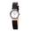 Skagen 358XSSLBC