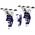 SkinStar Racing Ski Vise WorldCup Special