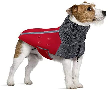 Wintermantel Hund Test & Vergleich  Top 12 im Juni 2026