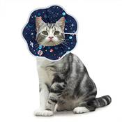Slson Halskrause Katze
