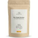 Smaints Bio Chaga Pilz Brockenn