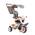 Smoby Baby Balade Plus