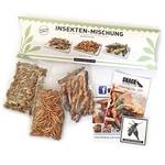 Insekten essen