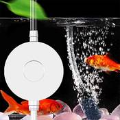 Soarfly Aquarium Luftpumpe Vergleich