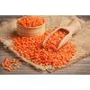 SoleilFOOD Rote Linsen
