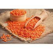 SoleilFOOD Rote Linsen