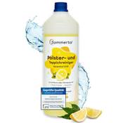 Sommertal Polsterreiniger