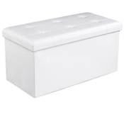 Songmics Wäschetruhe Sitzbank LSF106 Vergleich