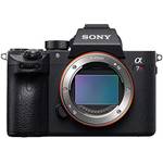 Sony 7R Iii