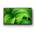 Sony Bravia KD-W800 (2023)