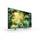 Sony KD-43XH8196