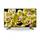 Sony Kd49Xg8096Baep