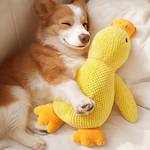 Speedy Panther Hundespielzeug