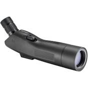 Eschenbach Optik 46312