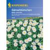 Sperli Blumensamen Wiesen-Gänseblümchen