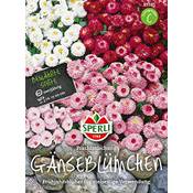 Sperli Gänseblümchen Prachtmischung