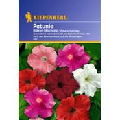 Sperli Petunien-Samen