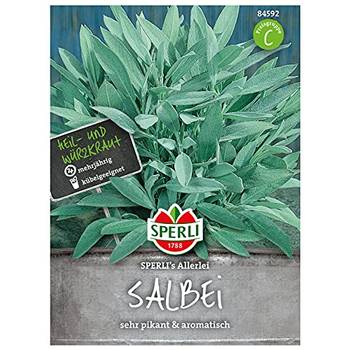SalbeiSamen Test & Vergleich » Top 8 im September 2024