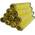 Sperling Gelber Sack