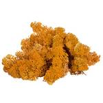 sphagnum-shop.com Islandmoos