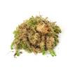 Sphagnum Shop Sphagnum-Moos