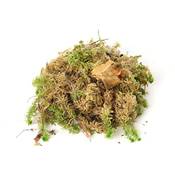 Sphagnum Shop Sphagnum-Moos