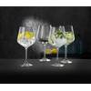 Spiegelau & Nachtmann, 4-teiliges Gin & Tonic-Set