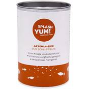 Splashyum! Artemia-Eier Vergleich