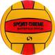 Sport-Thieme Wasserball Official Vergleich