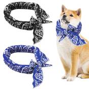 Sporway Kühlhalsband für Hunde Vergleich