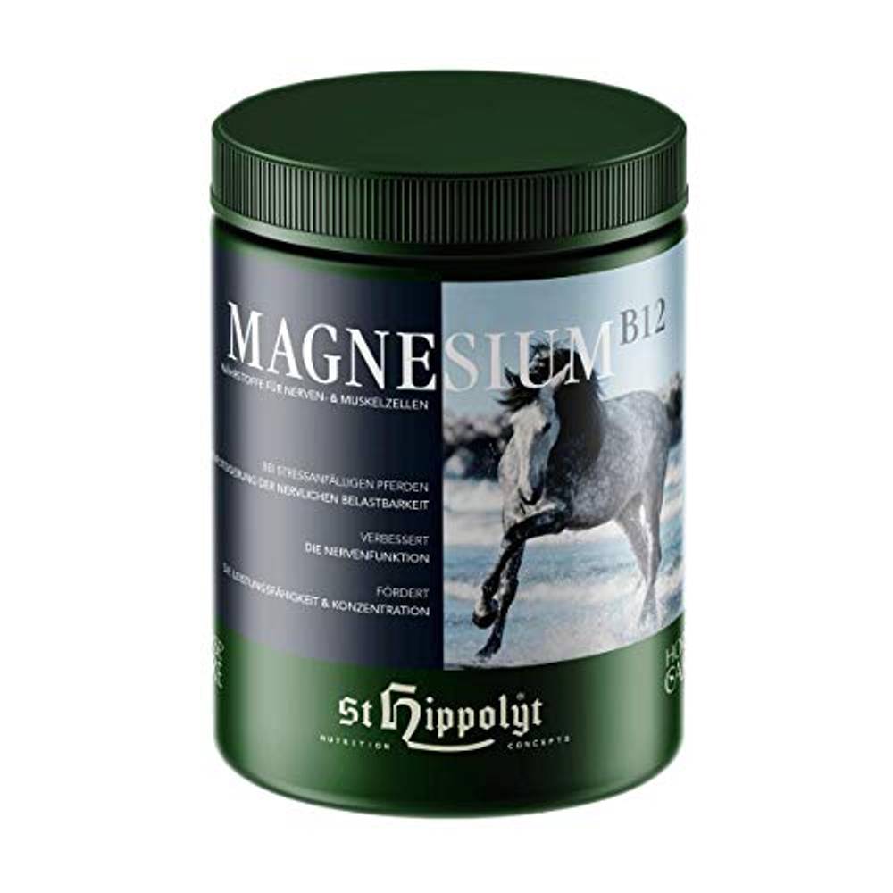 Magnesium Pferd Test & Vergleich » Top 15 im Oktober 2024