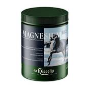 St. Hippolyt Magnesium B12