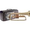 Stagg WS-FH215S