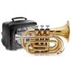 Stagg WS-TR245S